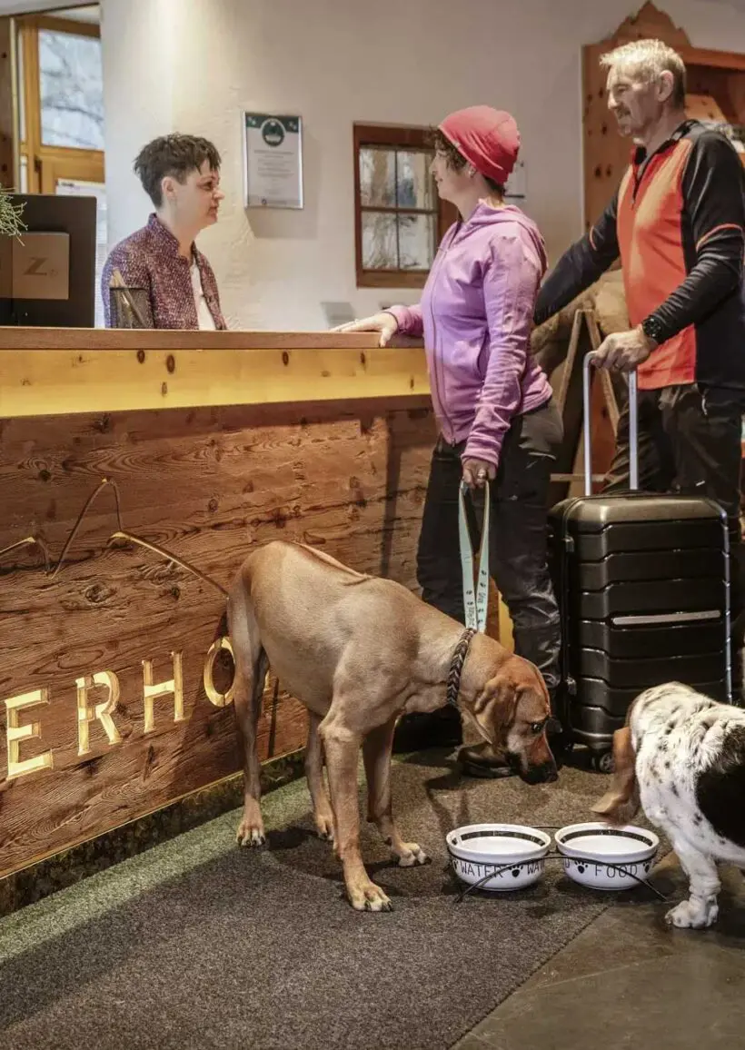 Brandz – Projekte: Hundehotel Riederhof