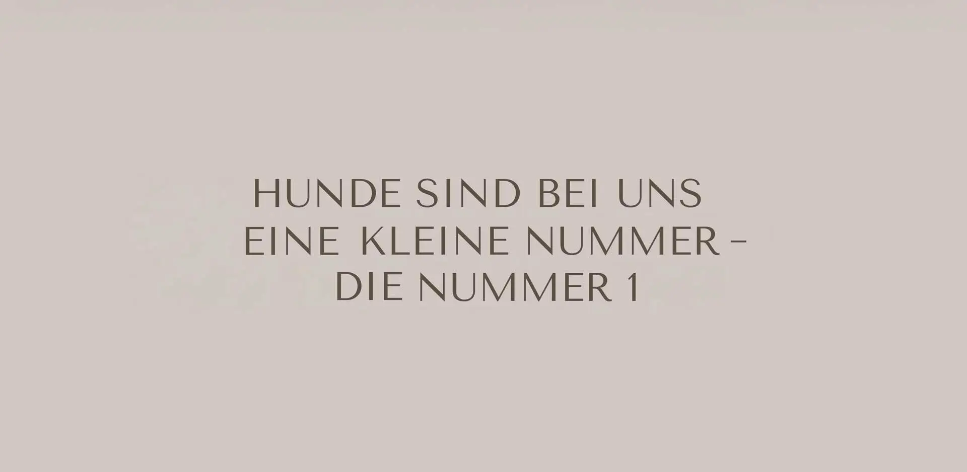 Brandz – Projekte: Hundehotel Riederhof