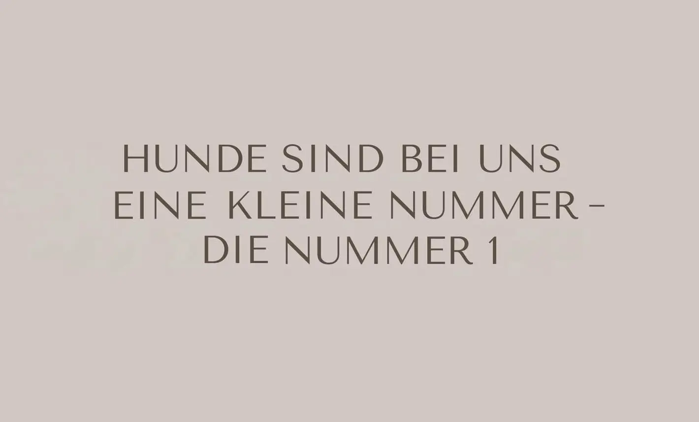 Brandz Projekte Hundehotel Riederhof 3 Mobile
