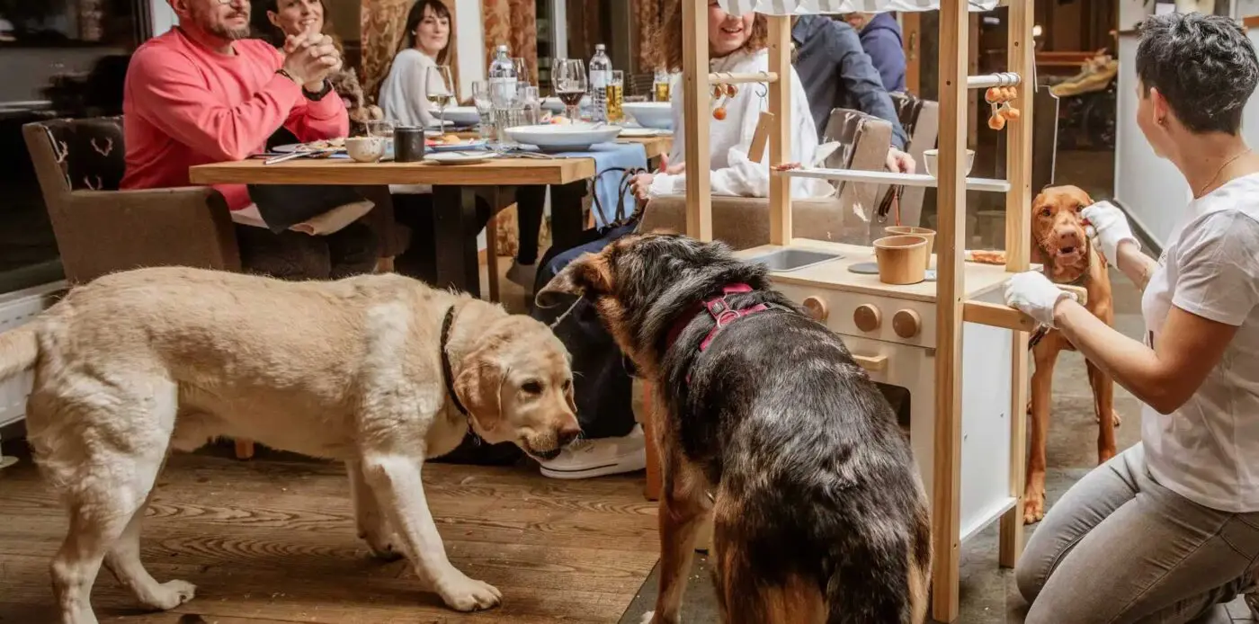 Brandz – Projekte: Hundehotel Riederhof